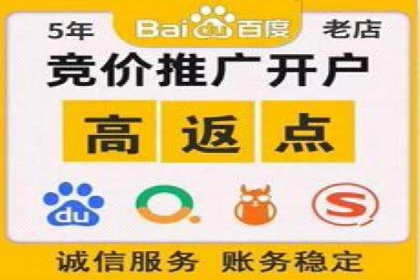 深入剖析SEM公司成功案例：数据驱动的广告策略